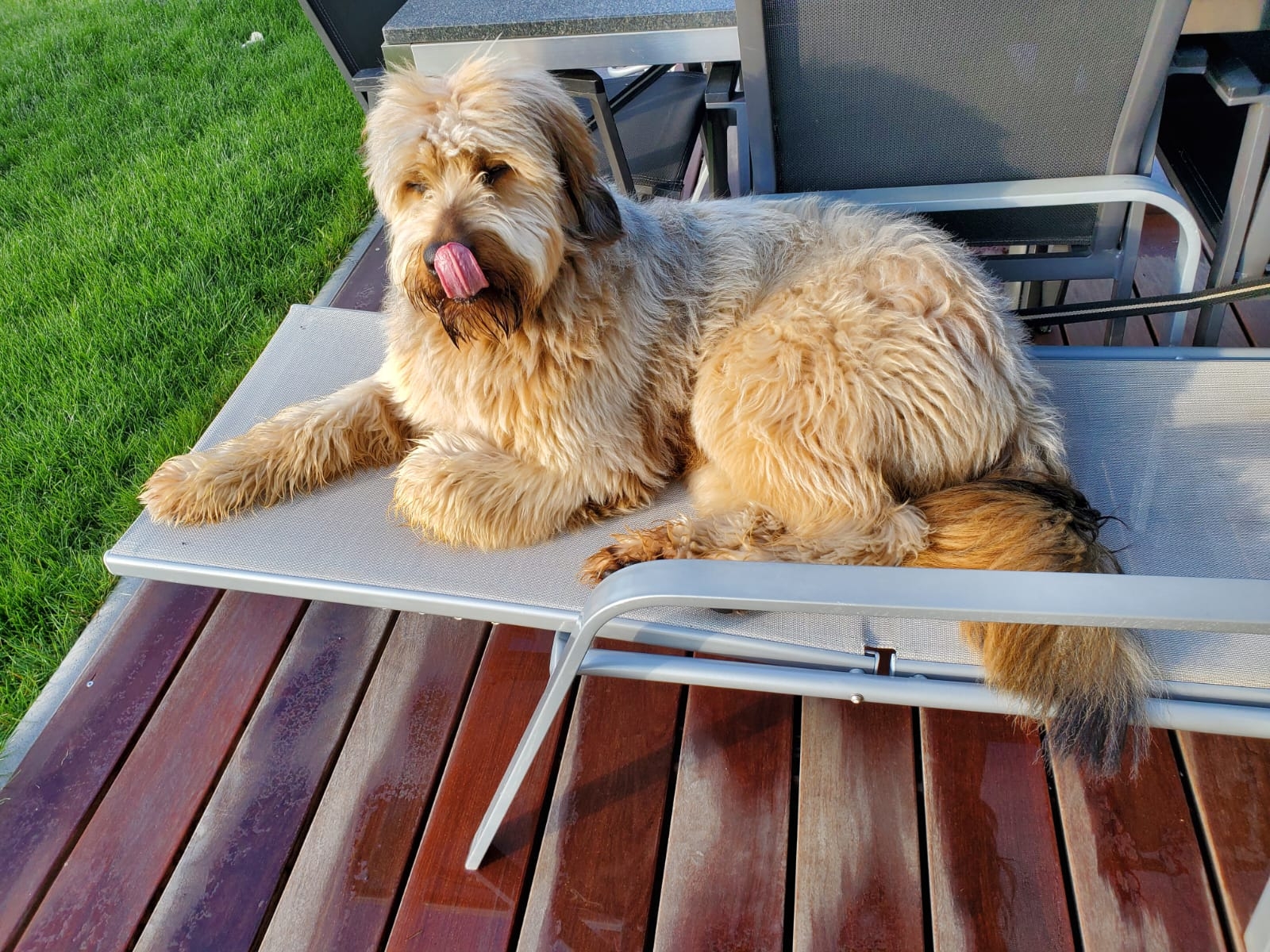 Wäller von der Straubenhalde